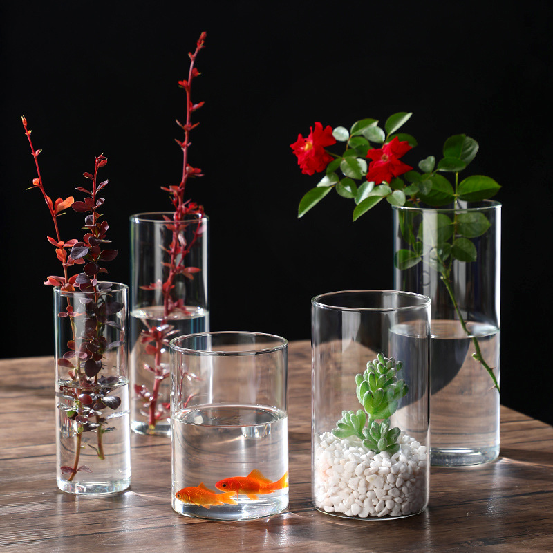 Candle Making Glass - Cam Silindir Vazolar Cam Topraksız Vazo